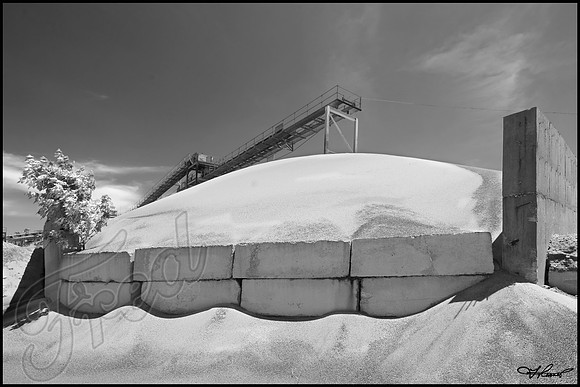 OB_0981_21