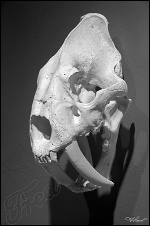 OB_3711_21