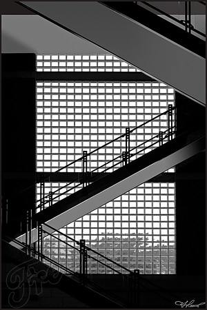 OB_3800_21
