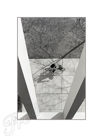 "Riding Across Campus"- MSU 1972