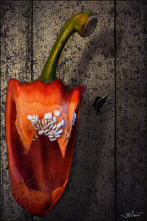 PEPPER FACE (2 image composite)
