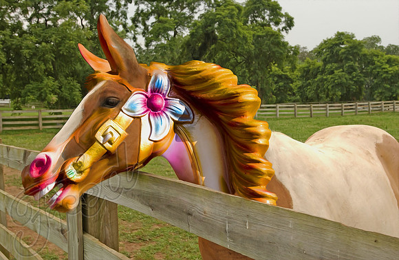 CAROSEL FARM  (3 image composite)