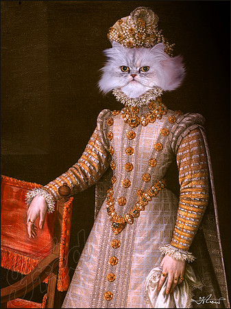 MADMOSSELLE KITTY (2 image composite)