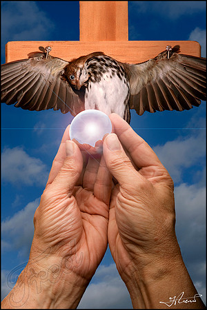 BIRD SPHERE (4 image composite)